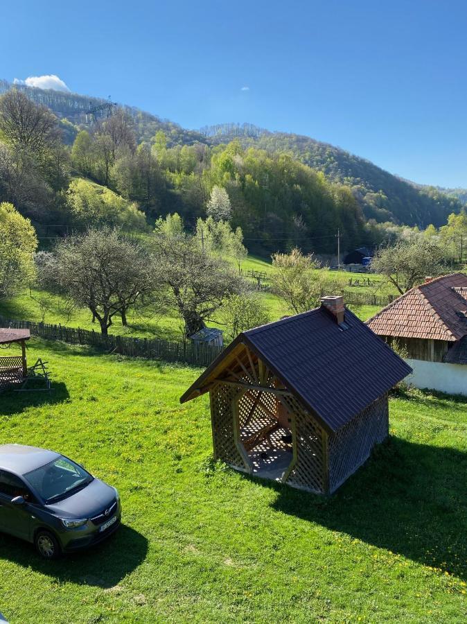 Casa Alesi Villa Dragoslavele Екстериор снимка