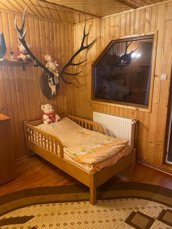 Casa Alesi Villa Dragoslavele Екстериор снимка
